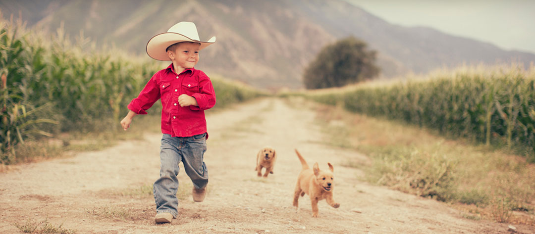 Do you have life insurance for children?
