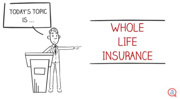 Whole Life Insurance Quotes - Best Rates and Quotes - Accuquote