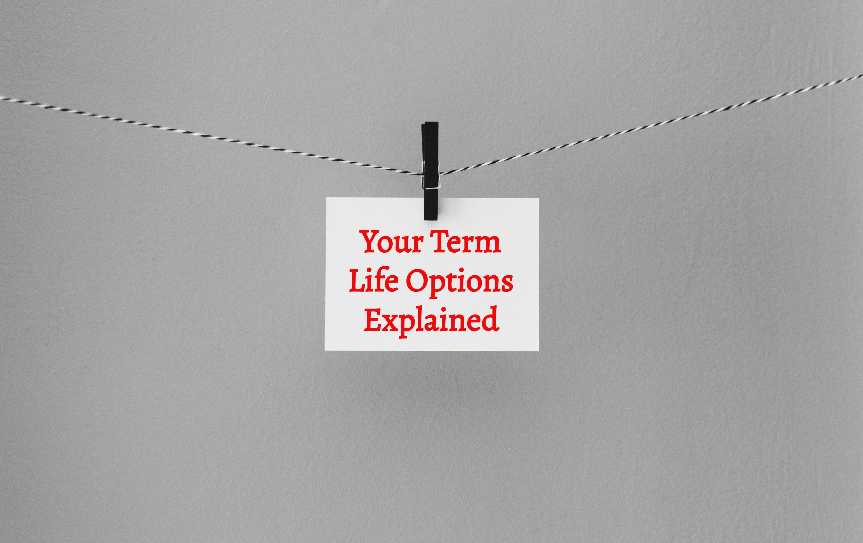 Dividend Paying Life Insurance - Paradigm Life - Blog